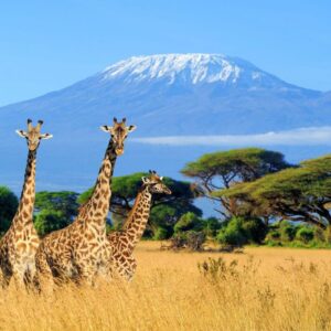 أهم المعالم السياحية في تنزانيا