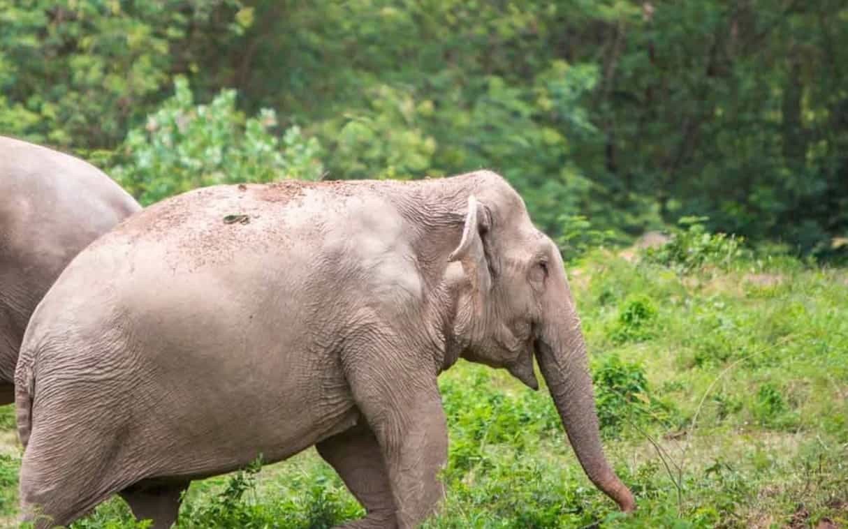 افضل 10 اماكن سياحية في جزيرة كوساموي افضل 10 اماكن سياحية في جزيرة كوساموي